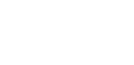 The Diesel Repair Shop